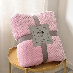 Cross Border Spot Thickened Solid Color Pineapple Flannel Blanket Coral Velvet Sofa Cover Blanket Air Conditioning Blanket Nap Blanket