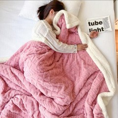 Amazon Lamb Plush Blanket, Winter Thickened Warm Blanket, Nap Blanket, Taff Plush Blanket, Flannel Solid Color Blanket