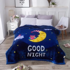New Raschel Blankets For Autumn And Winter Thickened And Warm Student Dormitory Double Layer Blankets, Cover Blankets, Double Layer Blankets