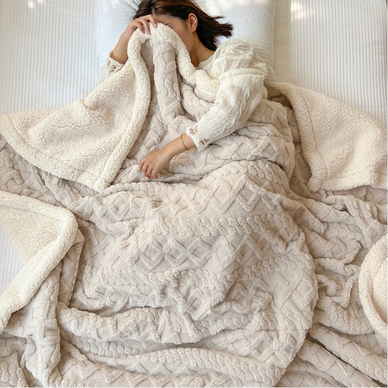 Winter Thickened Lamb Plush Blanket, Coral Flannel...